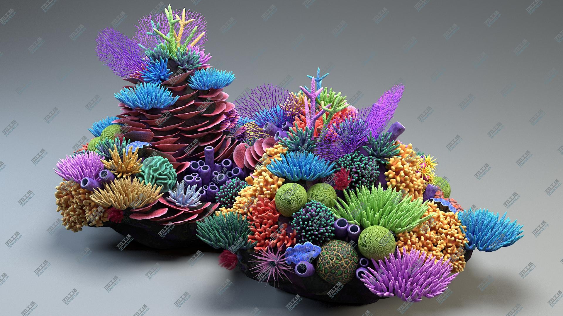 images/goods_img/202104092/Coral Reef 03 3D/3.jpg